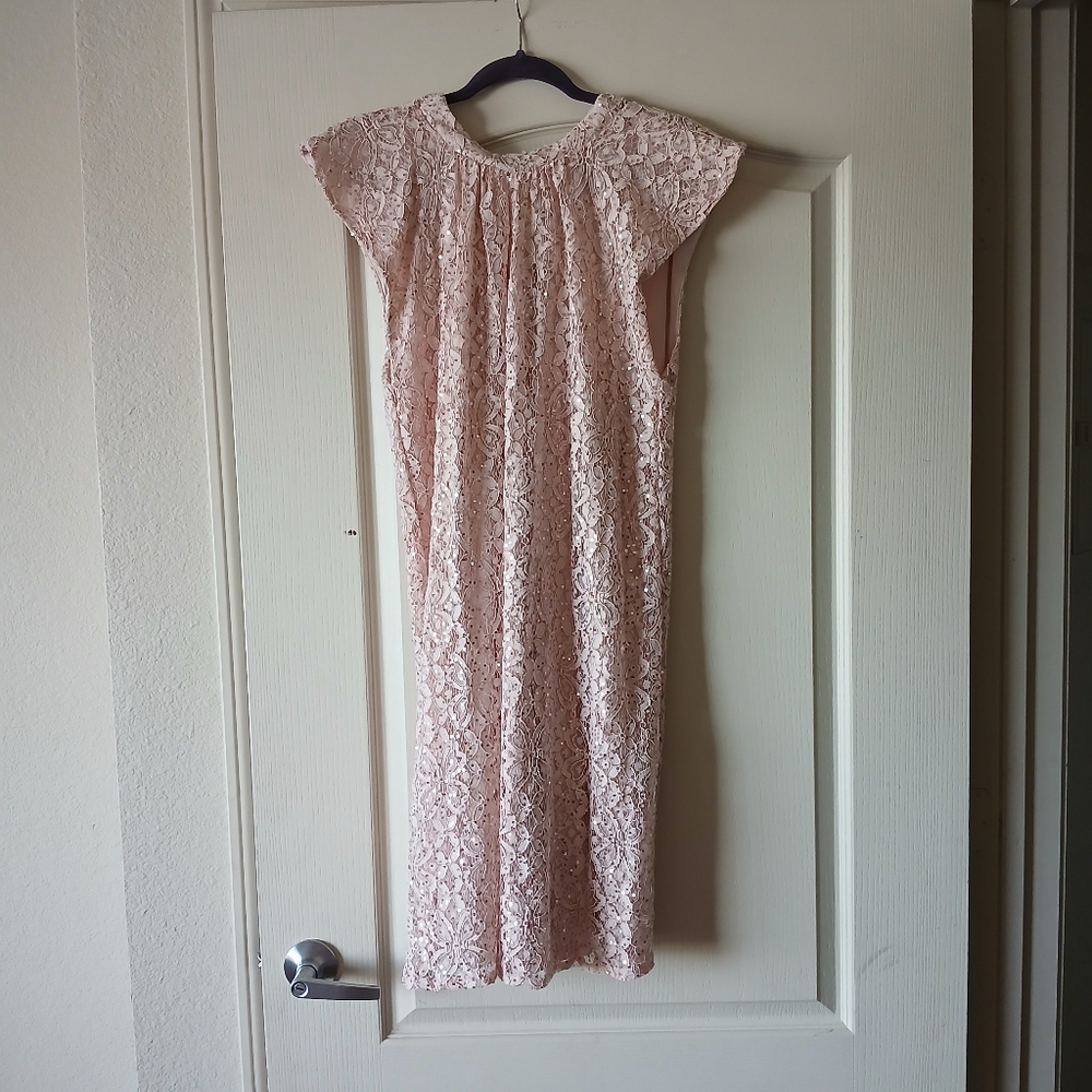 Elegant Cap Sleeve Sequin Lace Shift Blush Pink Dress